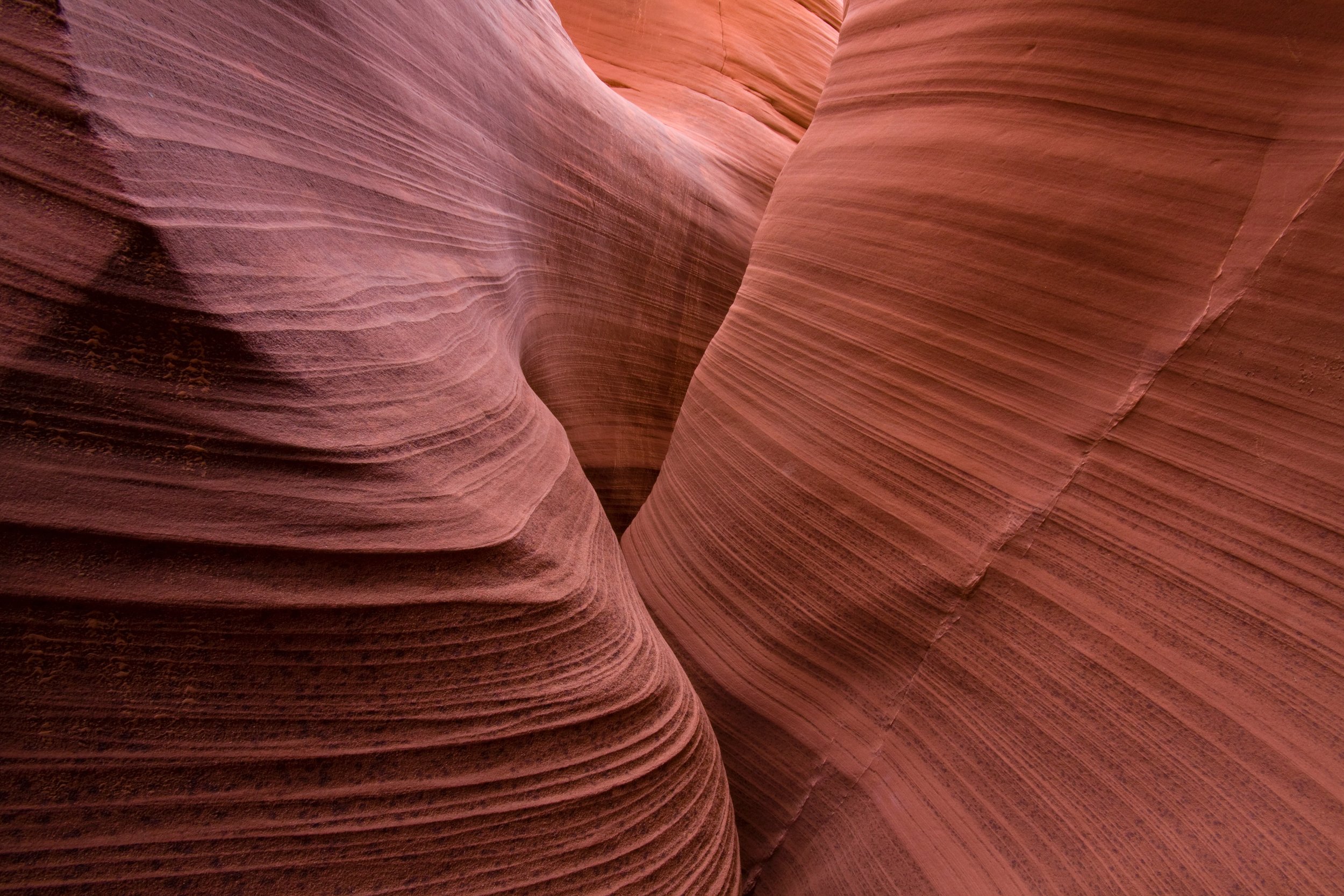 martina-misar-tummeltshammer-103127-unsplash (1).jpg
